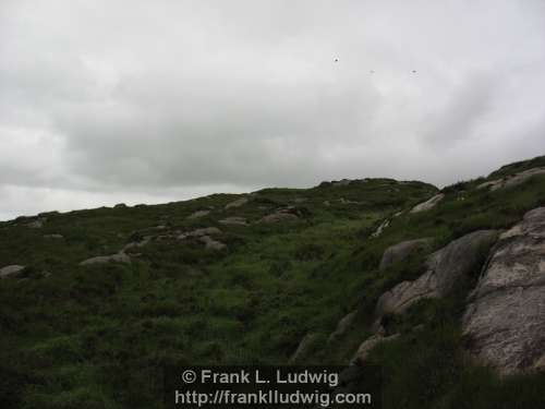 Slieve Daeane, Birds Mounatin